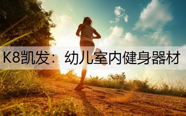 K8凯发：幼儿室内健身器材