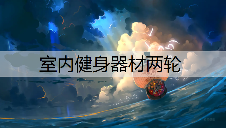 室内健身器材两轮