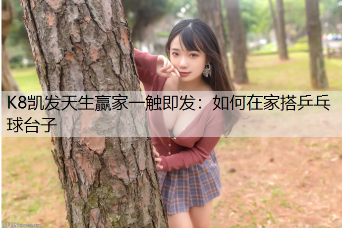 如何在家搭乒乓球台子