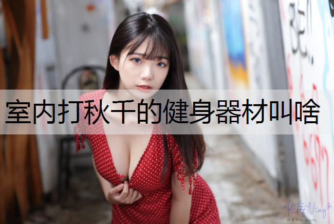 室内打秋千的健身器材叫啥