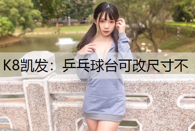 乒乓球台可改尺寸不