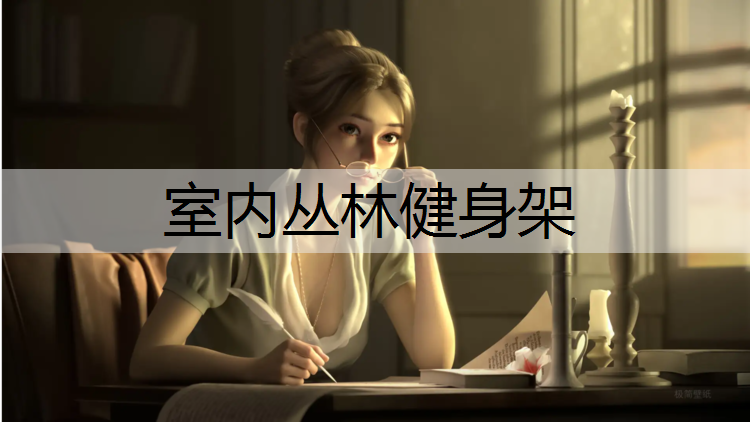 室内丛林健身架